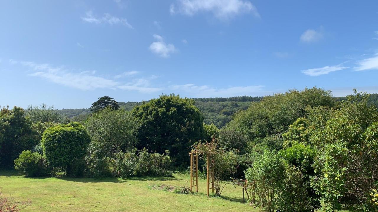 Nettle Bank Bed and Breakfast Lyme Regis Eksteriør billede