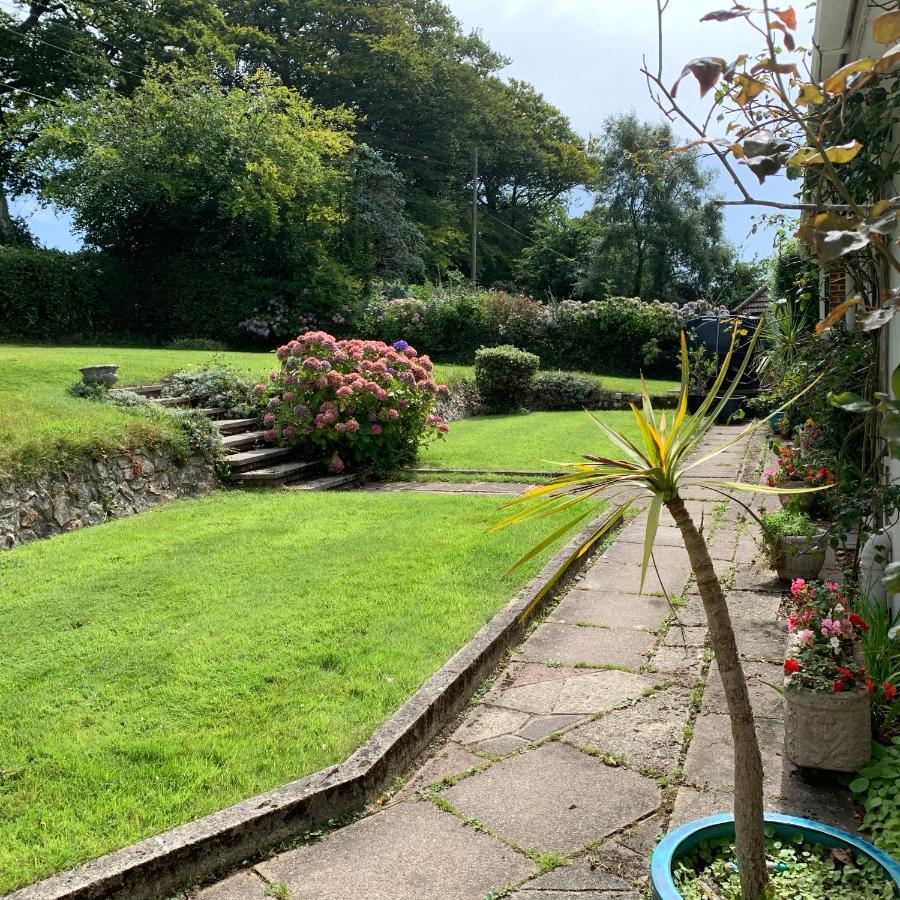 Nettle Bank Bed and Breakfast Lyme Regis Eksteriør billede